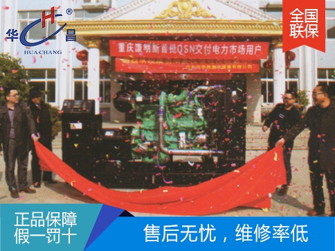 沈陽350千瓦重慶康明斯發(fā)電機(jī)組
