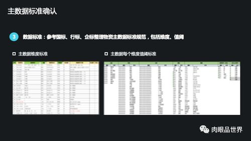 集團數(shù)據(jù)管控與數(shù)據(jù)治理解決方案 數(shù)據(jù)處理與存儲服務(wù)的整合